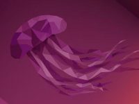 在Ubuntu上安装和使用搜狗五笔输入法的详细步骤