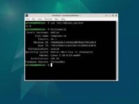 如何将Debian8 (Jessie) 升级到 Debian9 (Stretch)命令和方法