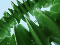 全球十大可持续数据中心创新