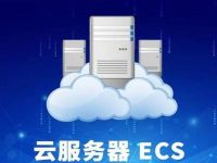 上海云服务器租用提供公网服务的推荐选择