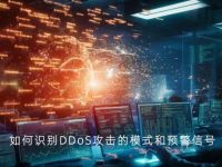 如何识别DDoS攻击的模式和预警信号