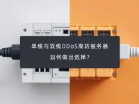 单线与双线DDoS高防服务器:如何做出选择?
