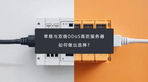 单线与双线DDoS高防服务器：如何做出选择？