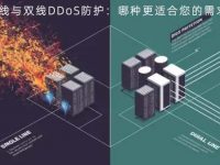 单线与双线DDoS防护：哪种更适合您的需求？