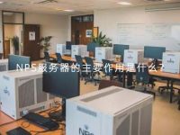 NPS服务器的主要作用是什么？
