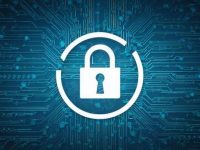 免实名服务器：应对反爬虫与IP封锁的利器