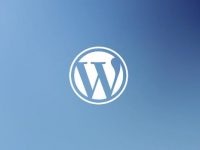 如何处理Wordpress中搜索引擎抓取/wp-json/wp/v2/？