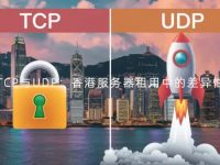 TCP与UDP:香港服务器租用中的差异性