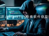 如何防止BlackSuit勒索软件窃取数据