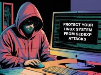 如何防范Sedexp恶意软件对 Linux 系统的威胁？