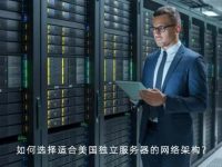 如何选择适合美国独立服务器的网络架构？