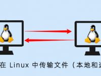 如何在Linux中传输文件（本地和远程）
