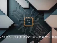 PCIe与NVMe在提升服务器性能中起着什么重要作用？