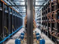 为什么很多用户选择租用美国免备案服务器？