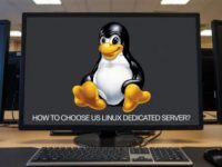 企业如何正确选择美国Linux独立服务器？