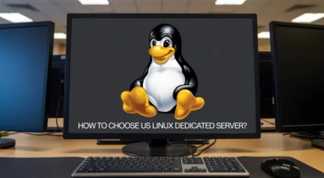 企业如何正确选择美国Linux独立服务器？