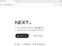 如何在Ubuntu上安装和设置新的Next.js项目