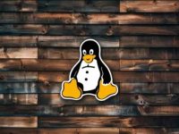 15个不可或缺的Linux Shell文本处理秘籍