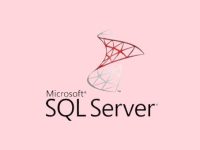 如何在Red Hat Enterprise Linux上安装SQL Server