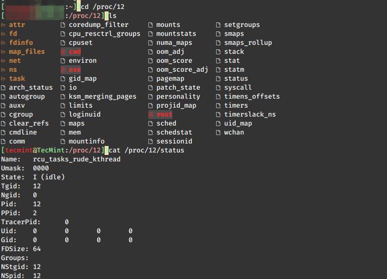 如何使用 /proc 文件系统监控Linux系统