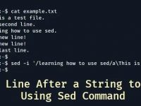 如何使用sed命令在文件中的特定字符串后添加一行