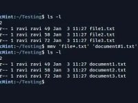 在Linux中重命名文件:使用mmv工具批量重命名