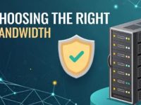 如何为自己网站选择合适的DDoS防护带宽大小?