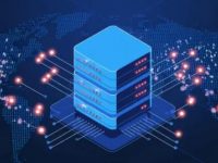 优化跨国企业网络性能：如何利用美国CN2服务器提升全球业务运营