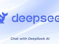 如何在Ubuntu 24.04上使用Ollama LLM本地安装DeepSeek