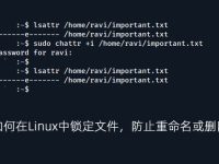 如何在Linux中锁定文件,防止重命名或删除