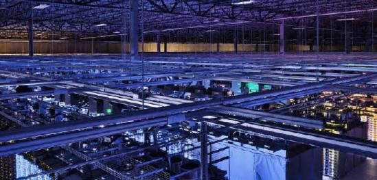 适合在新加坡服务器上部署的多种网站类型