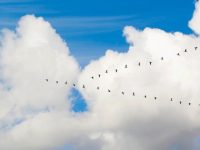 从VMware迁移?可能毁掉你迁移的5个问题