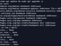 在Debian 12上安装Nvidia显卡驱动程序