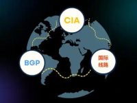 企业如何精确判断海外服务器网络线路的稳定性？