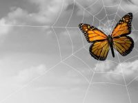 企业使用混合云时如何避免常见的陷阱