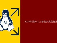 2025年国外人工智能开发的好用的Linux工具