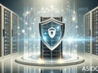 如何保护网站服务器安全：美国网站服务器的加密方式详解