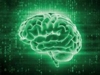 神经科技与IT运维的融合：AI如何推动自愈IT系统的发展