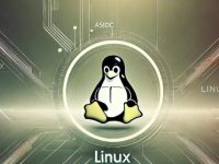 Shorewall入门教程：如何配置Linux服务器的高级防火墙