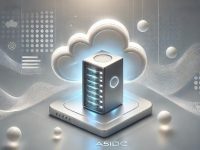 香港服务器与数字人民币支付整合：打造高效、安全的电商平台