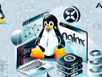 如何解决香港服务器上Nginx服务频繁崩溃的根本原因?