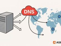 新加坡服务器在多区域架构中如何实现DNS全局智能解析?