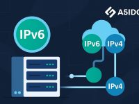 部署IPv6服务时，香港服务器如何实现双栈网络的性能最优？