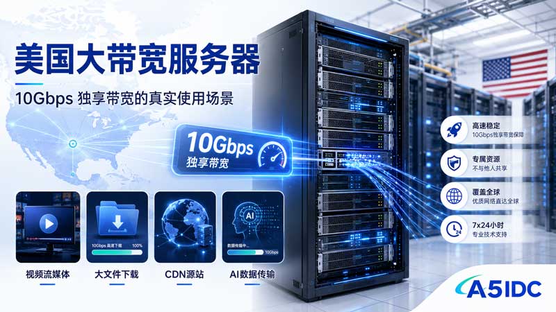 美国大带宽服务器适合哪些业务？10Gbps 独享带宽真实使用场景与配置方案