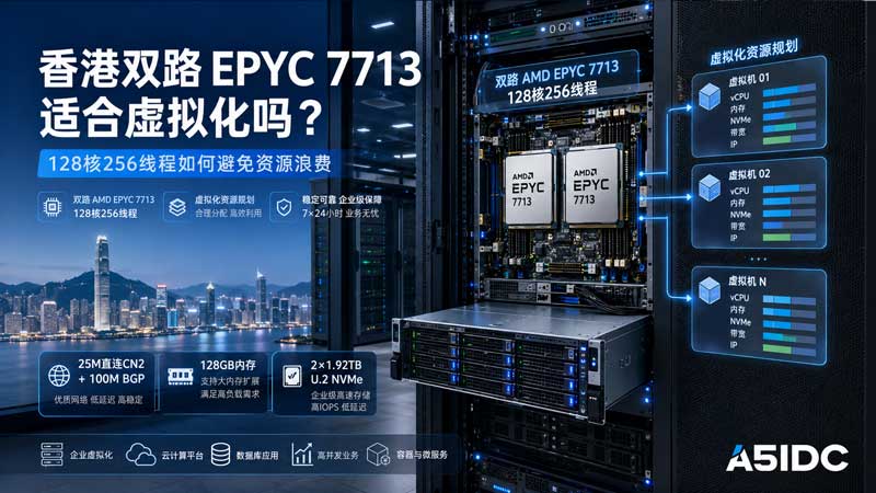 香港双路 AMD EPYC 7713 服务器适合虚拟化吗？128核256线程资源规划指南