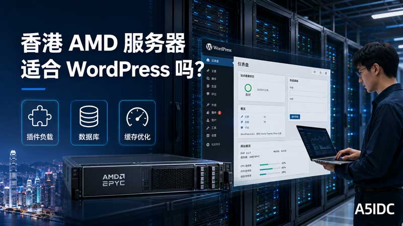 香港 AMD 服务器适合 WordPress 吗？从插件负载、数据库和缓存说清楚