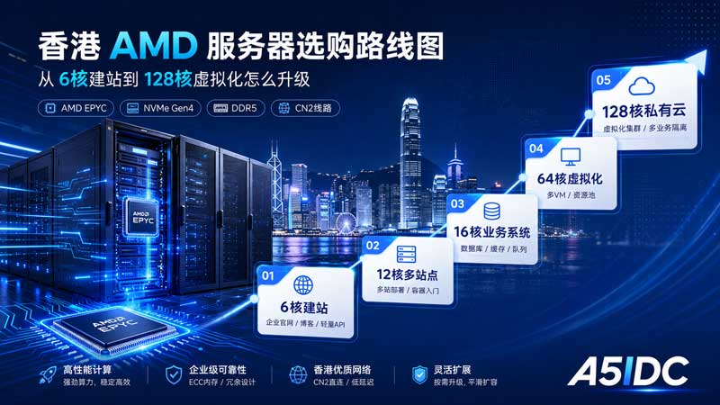 香港AMD服务器怎么选？从 6核建站到 128核虚拟化，一篇看懂升级路线