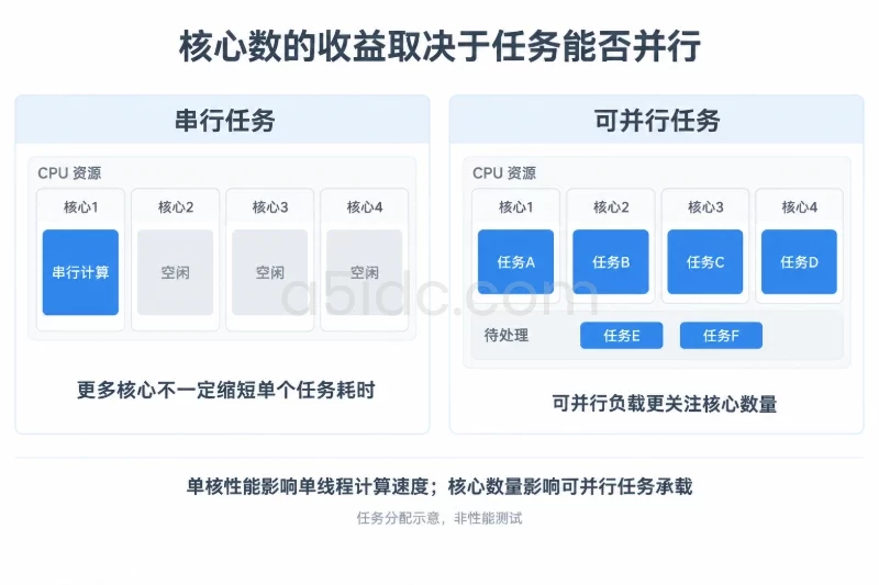 CPU:决定计算任务如何被处理/参数定义:核心数、单核性能和可用性配图